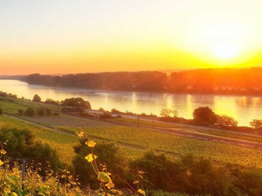 Sonnenuntergang über einem Fluss, umgeben von grünen Wiesen und Bäumen.